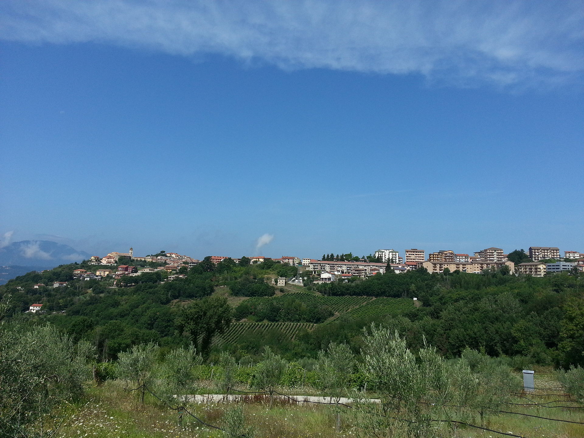 Montefalcione